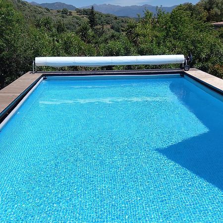 L'Amandier -Le Figuier-Les Lauriers Roses Ajaccio  Exterior foto