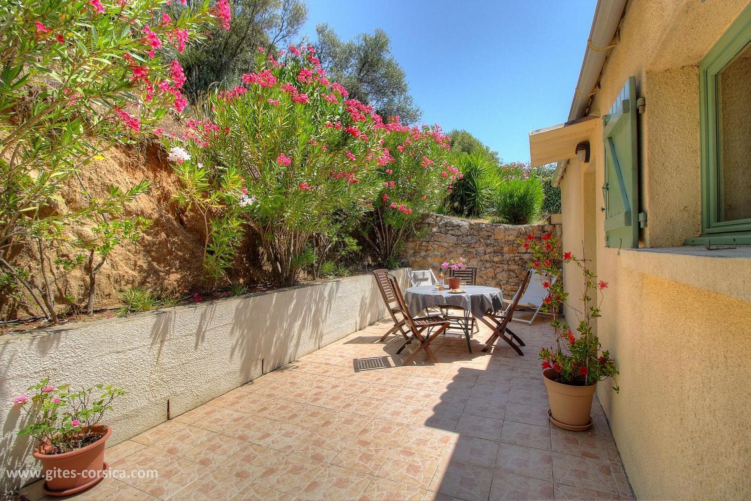 L'Amandier -Le Figuier-Les Lauriers Roses Ajaccio  Exterior foto
