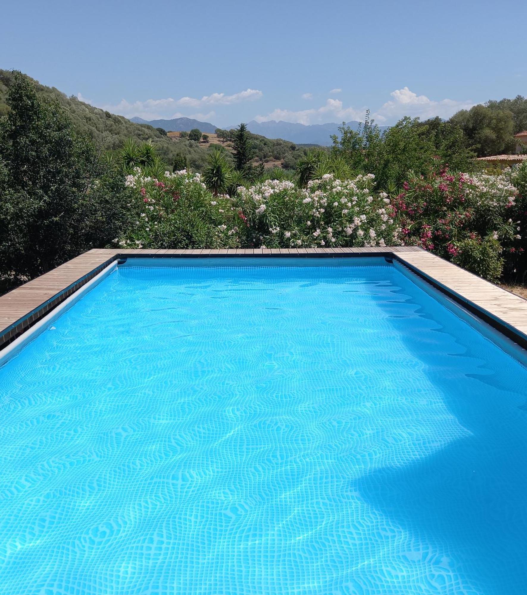 L'Amandier -Le Figuier-Les Lauriers Roses Ajaccio  Exterior foto
